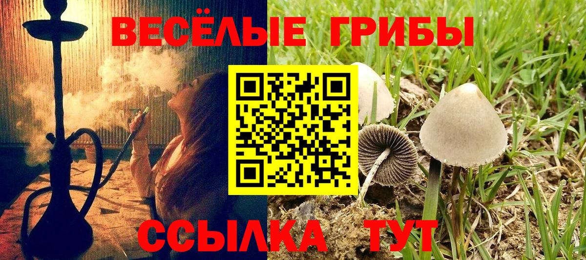 Псилоцибиновые грибы мицелий  Вход с VPN  Мытищи 