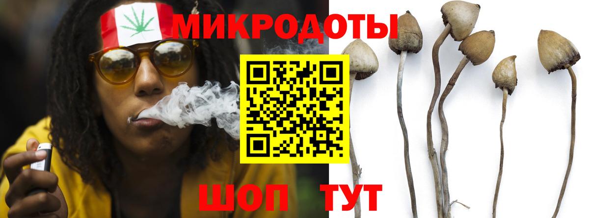Галлюциногенные грибы Psilocybine cubensis Мытищи