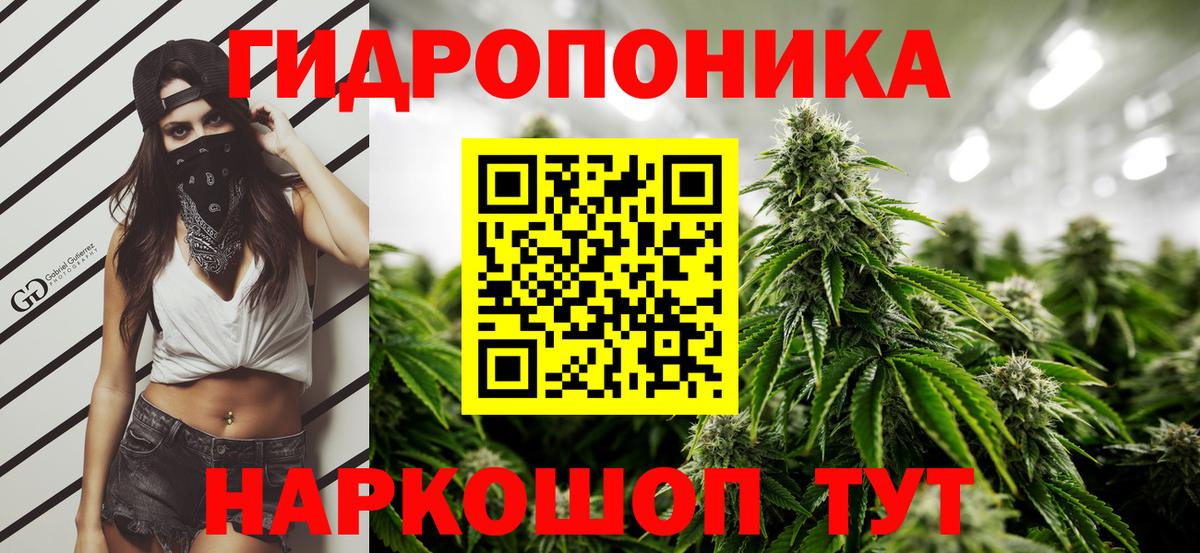 Мытищи  Марихуана семена  Бошки марихуана сатива  Вход с VPN  Канабис тримм 